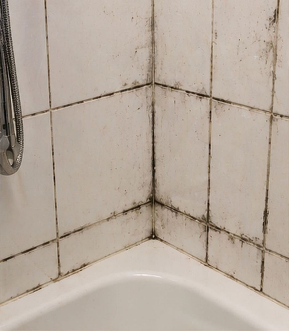 Mouldy black grout between bathroom tiles before regrouting