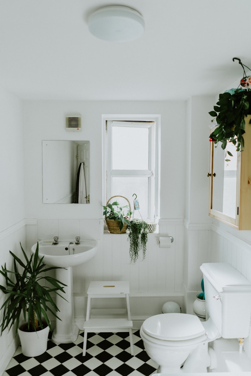 Clean, freshly regrouted shower tiles in a bright bathroom
